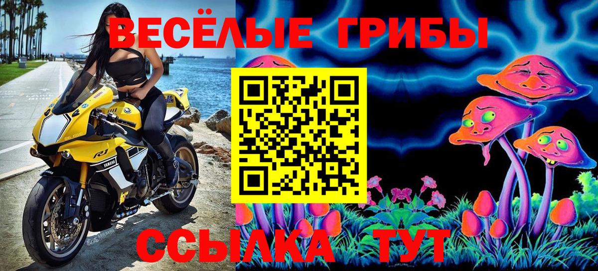 Псилоцибиновые грибы MAGIC MUSHROOMS  Галлюциногенные грибы GOLDEN TEACHER  Вход с VPN  Гулькевичи 