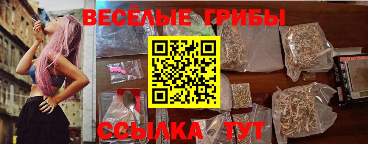 Гулькевичи  Вход с VPN  Марихуана  MDMA  МЕТАМФЕТАМИН  МЕФ   ГАШ  Кокаин 